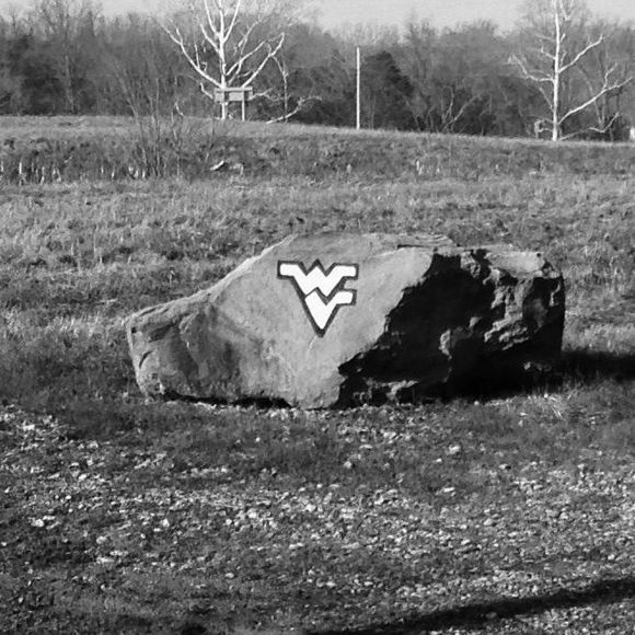 Meet your Posher, Bradley - Picture 1 of 1